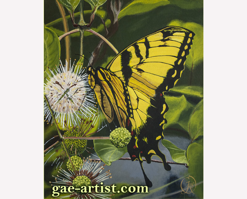 Swallowtail Butterfly acrylic painting