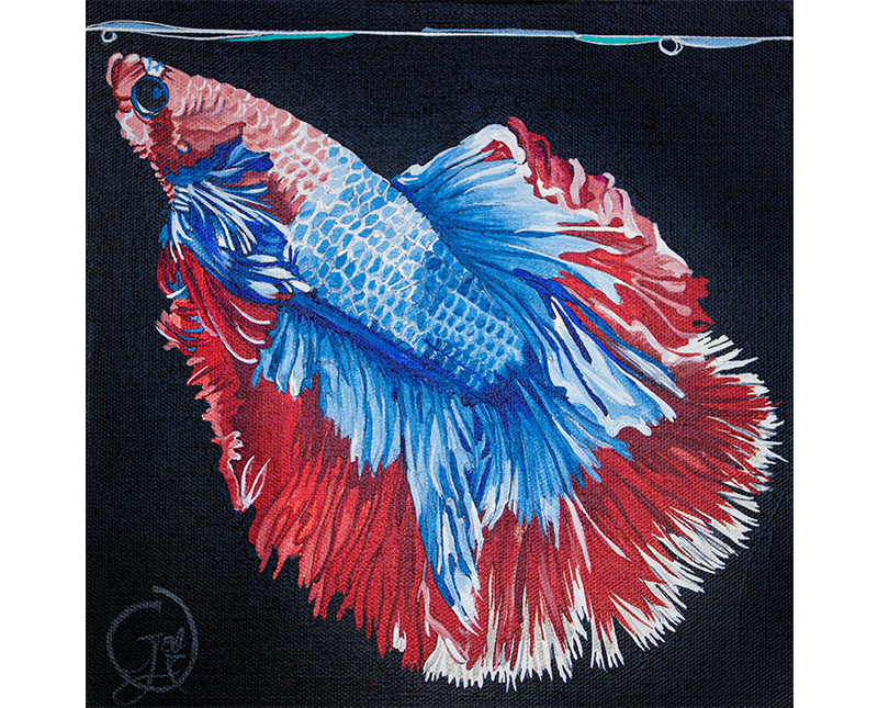 Betta fish acrylic painting