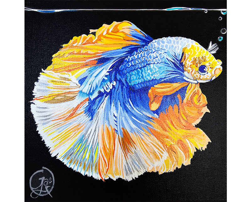 Betta fish acrylic painting