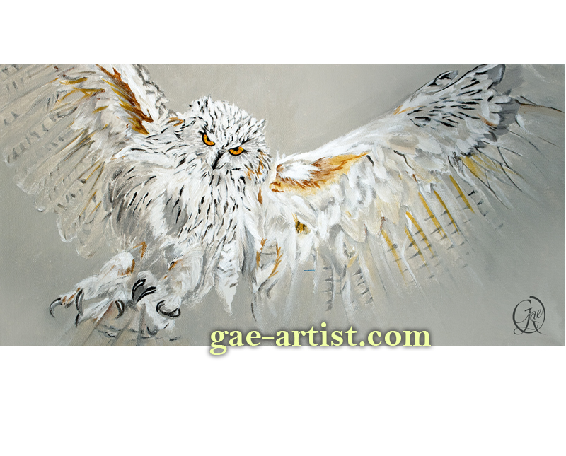 Snowy Owl acrylic painting