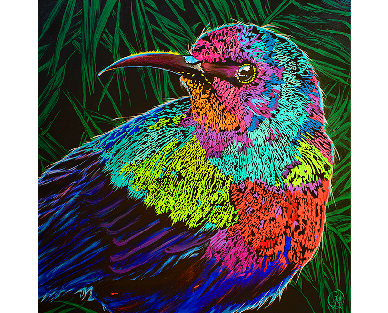 Splendid Sunbird acrylic painting