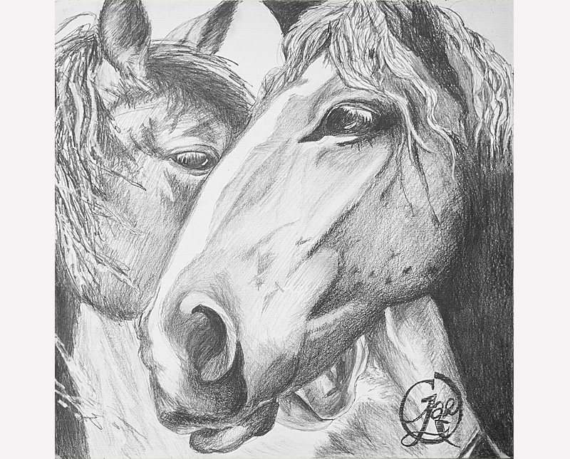 Drawing of two horses